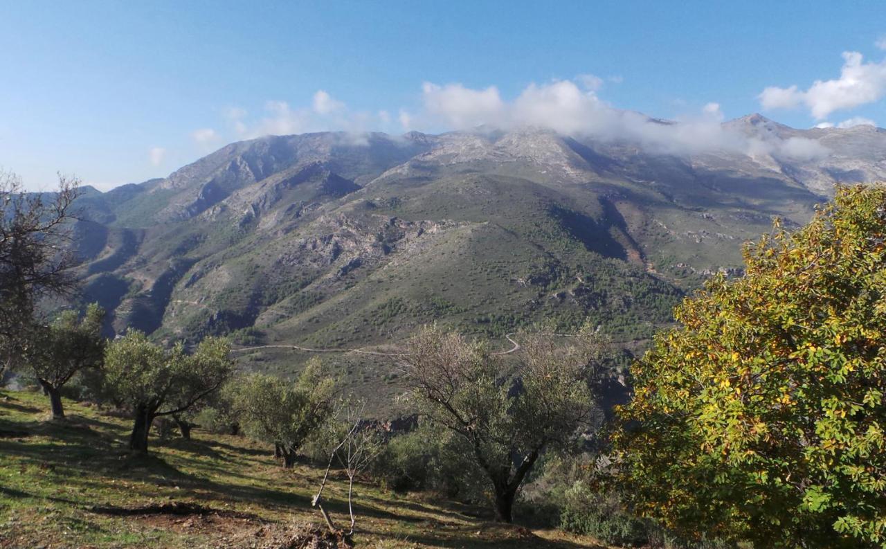 Villa Cortijo Luque Nerja Esterno foto